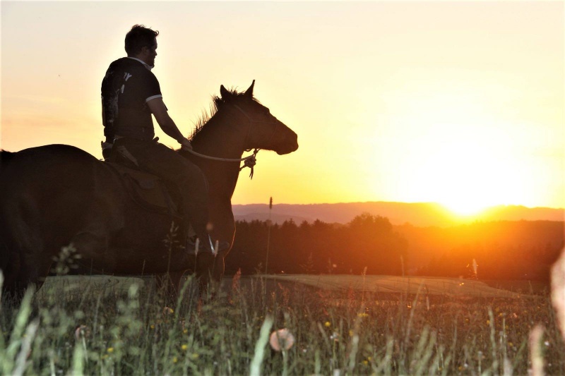 lust_am_leben_pferde_einstellplaetze_ooe