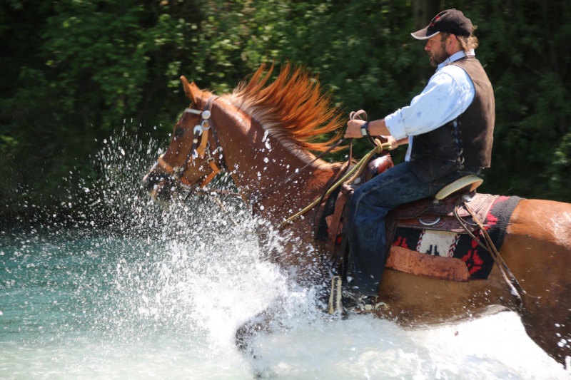 lust_am_leben_pferde_einstellplaetze_ooe