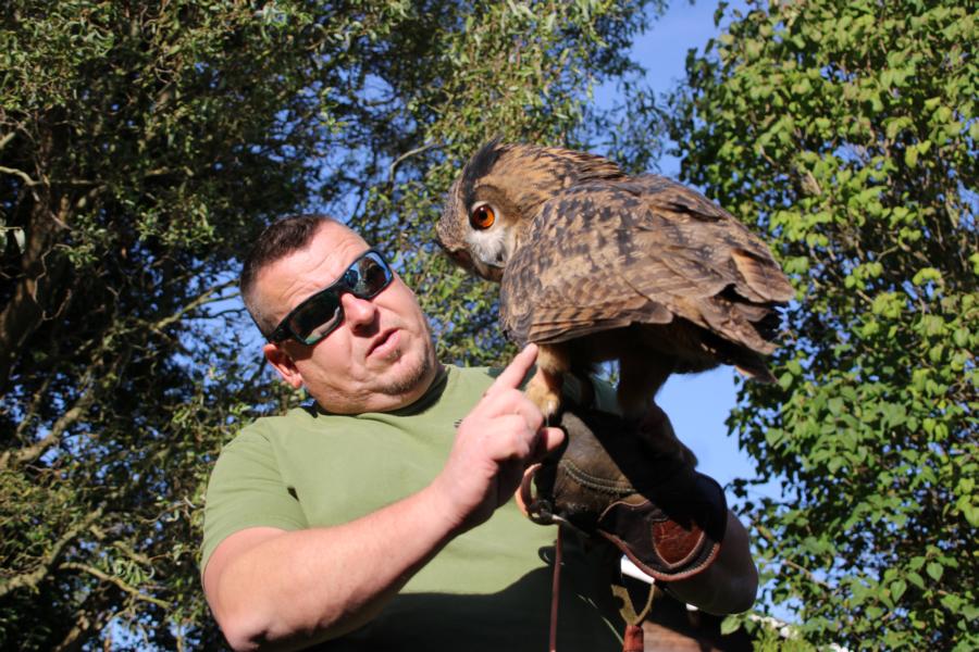 Lust am Leben Greiftiervogelshow