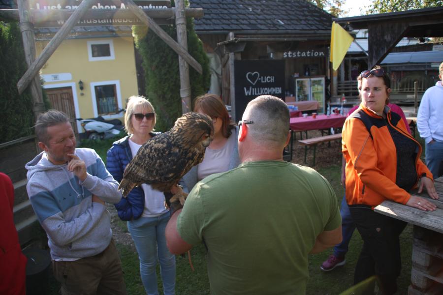 Lust am Leben Greiftiervogelshow