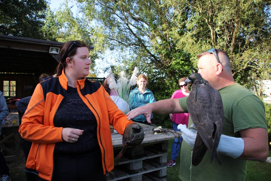 Lust am Leben Greiftiervogelshow