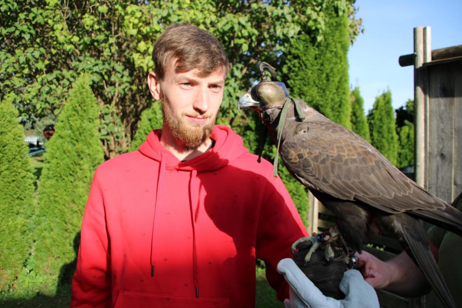 Lust am Leben Greiftiervogelshow