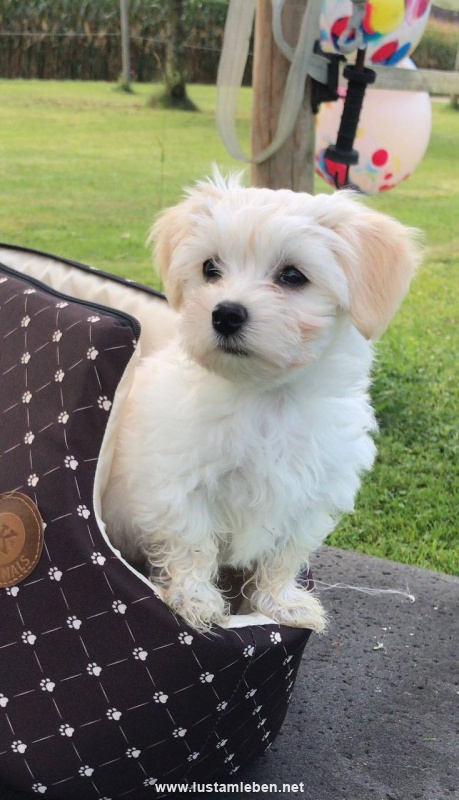 Aimee unser Geschenk