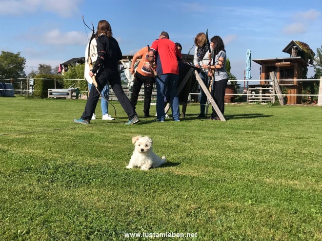 Aimee unser Geschenk