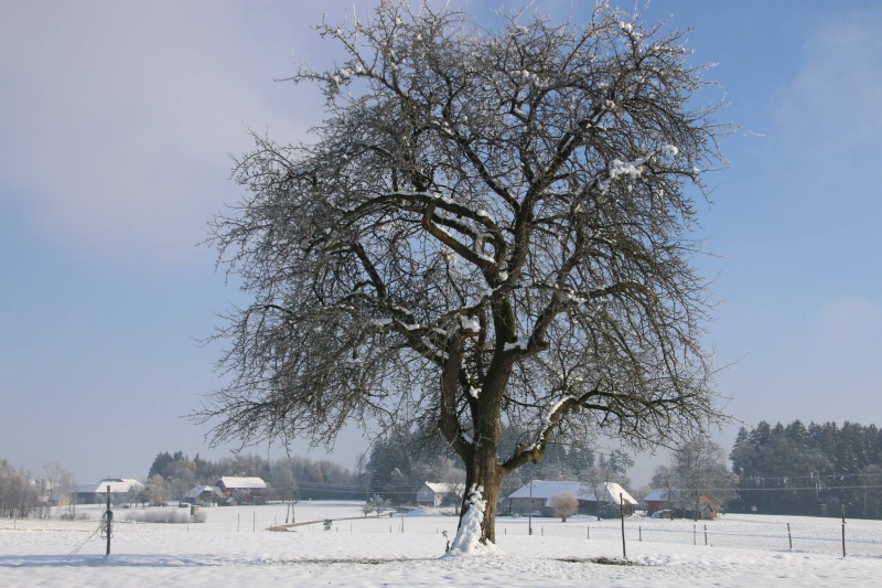 Lust am Leben Feuerlaufen Winter
