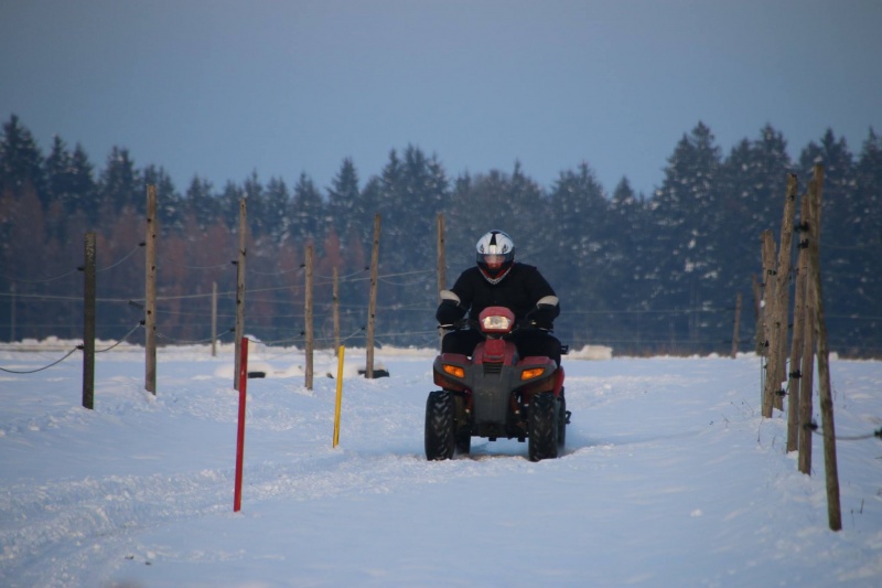Lust am Leben Feuerlaufen Winter