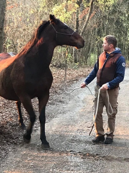 Lust am Leben Familien Coaching