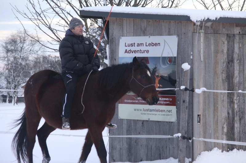 lust_am_leben_horseman_leadership_program_level