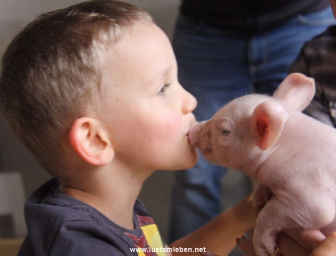 Kinder und Jugendcoaching Lust am Leben