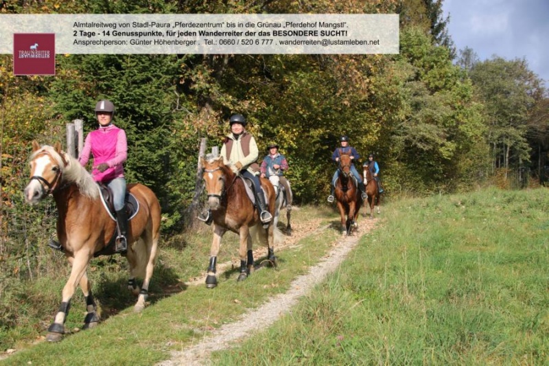 wanderreiten_im_almtal