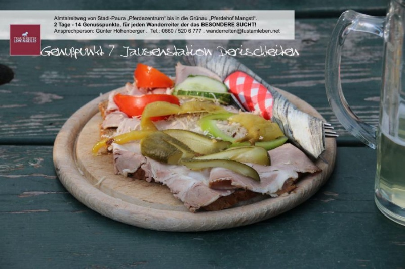 wanderreiten_im_almtal