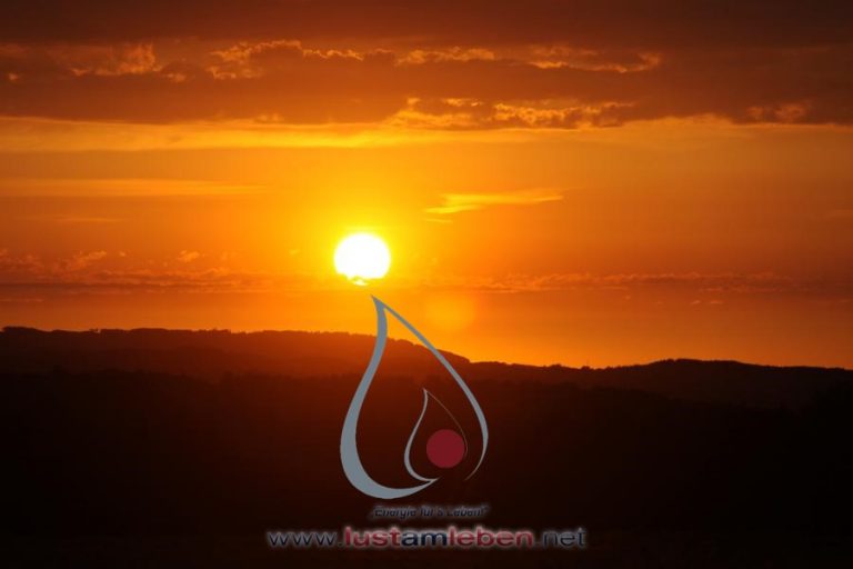 #LustAmLeben #Kindergeburtstag #AbenteuerCamp #NaturErleben #PferdeErleben #SpaßInDerNatur #KinderEvents #Linz #Wels #Gmunden #Geburtstagsfeier #OutdoorErlebnis #MentaleStärke #KinderAbenteuer