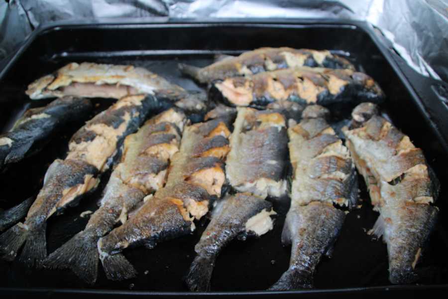 #FamilienSurvivalCamp, #SurvivalMitKindern, #OutdoorAbenteuer, #FamilienAbenteuer, #ZurückZurNatur, #LagerfeuerLiebe, #NaturErleben, Survival Training, #AbenteuerFürKinder, #WildnisCamp, #GemeinsamDraußen, #LebenInDerNatur, #DigitalDetox, #AbenteuerZeit, #KinderErlebenNatur