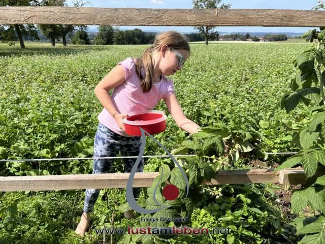 #LustAmLeben #KinderUndJugendCamp #NaturErleben #KreativitätFördern #Selbstentfaltung #TiereErleben #AktivesLernen #AchtsameZeit #KinderBetreuung #JugendlicheErziehen #WerteVermitteln #NaturAbenteuer