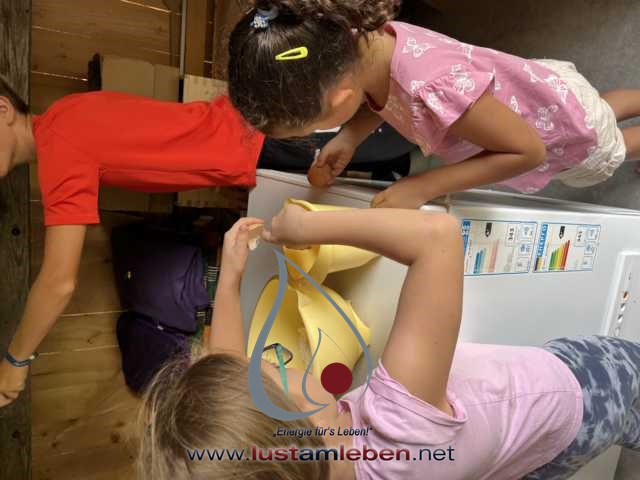 #LustAmLeben #KinderUndJugendCamp #NaturErleben #KreativitätFördern #Selbstentfaltung #TiereErleben #AktivesLernen #AchtsameZeit #KinderBetreuung #JugendlicheErziehen #WerteVermitteln #NaturAbenteuer