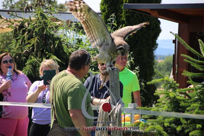 #Events #Organisation #Oberösterreich #Günstig #Linz #Wels #Steyr #Kirchdorf