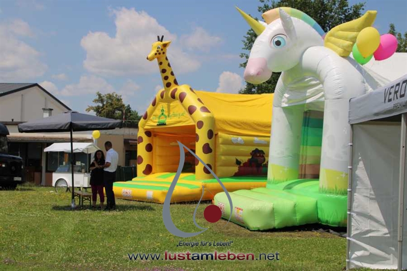 #Events #Organisation #Oberösterreich #Günstig #Linz #Wels #Steyr #Kirchdorf