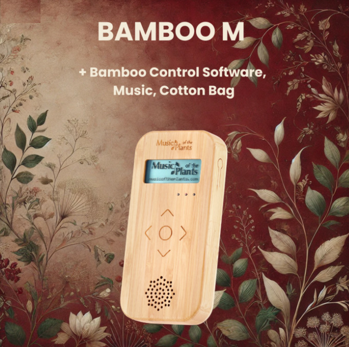 Bamboo M